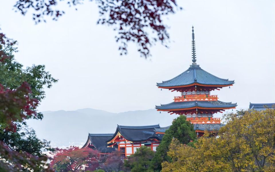 Kyoto: Customizable Full-Day Tour with Privarte Transfers - Why This Kyoto Private Day Feels Easier Than DIY