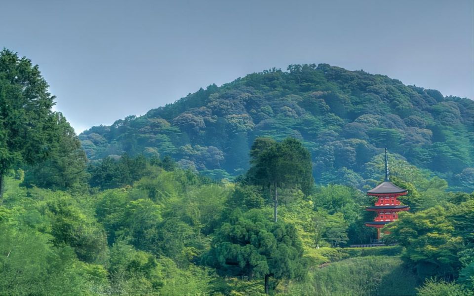 Kyoto: Customizable Full-Day Tour with Privarte Transfers - Nishiki Market: A Guided Touch, Then You Own Your Snacks