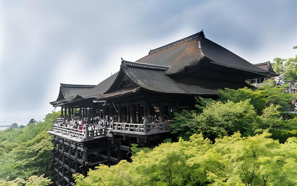 Kyoto: Customizable Full-Day Tour with Privarte Transfers - The Driver vs. Guide Upgrade: This Is the Real Decision