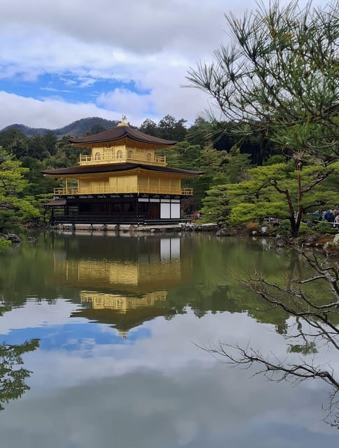 Kyoto: Customized One Day Car tour - Price and value for up to 5 people