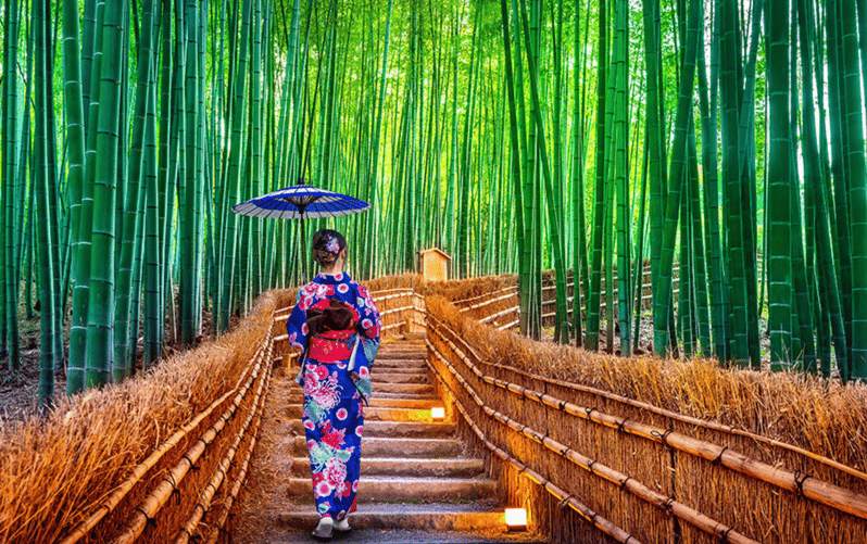 Kyoto Day Tour with Certified Tour Guide & Luxury vehicle - Key Highlights That Matter Day-Of