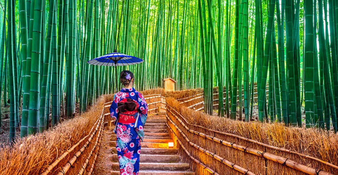 Kyoto Day Tour with Certified Tour Guide & Luxury vehicle - Arashiyama: Bamboo Area Photos, Walking, and a Scenic Train Ride