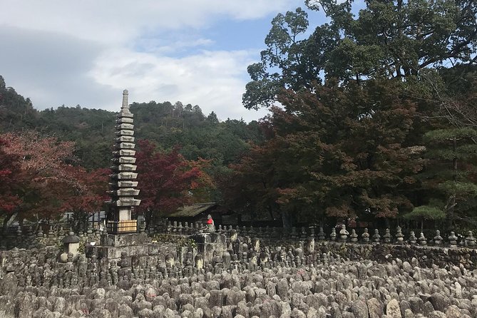 Kyoto: Descending Arashiyama (Private) - Tenryu-ji Temple: how a Zen garden changes the way you look