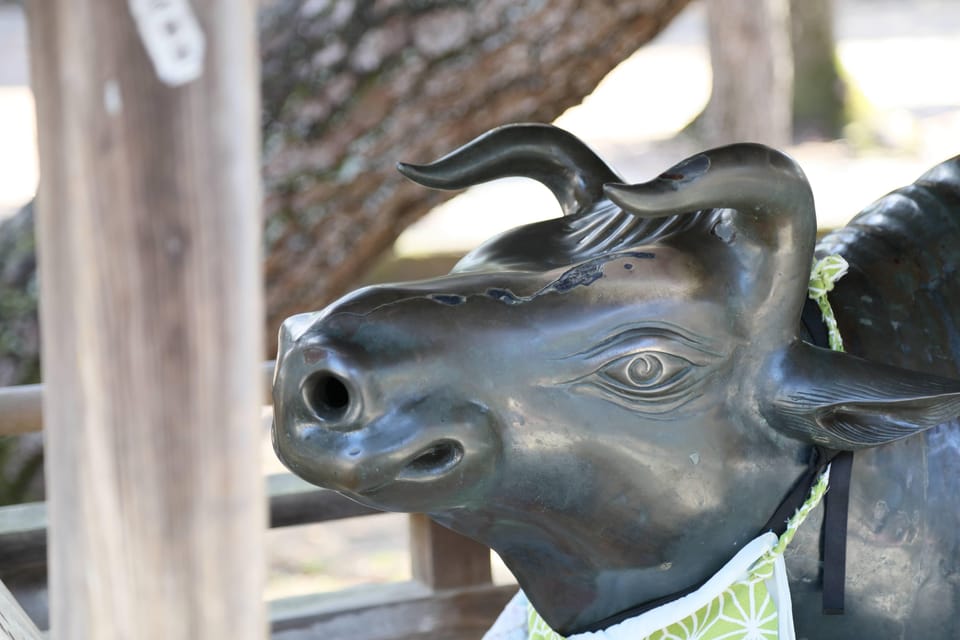 Kyoto: Discover the Oldest Geisha District, Kamishichiken - Price and Value: Is $30 Worth 90 Minutes?