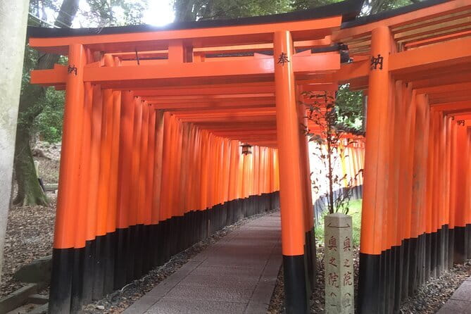 Kyoto Early Bird Tour: Fushimi Inari, Arashiyama Bamboo & Monkeys - Small group comfort and photo perks you’ll notice
