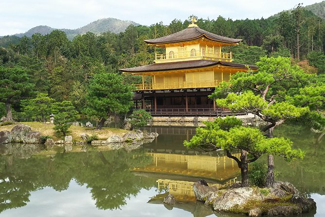 Kyoto Early Riser Platinum One-Day Walking Tour - Fushimi Inari-taisha: torii gates before the crowd swell