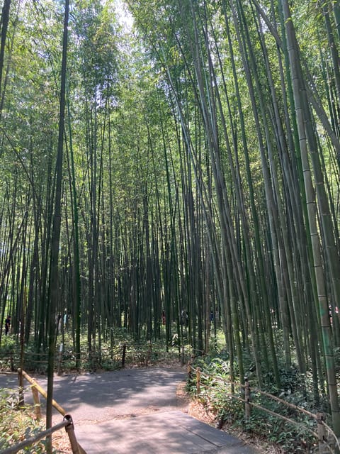 Kyoto: Essential Tour with Fushimi Inari & Bamboo Grove - Kyoto in 3.5 Hours: How the Tour Flows