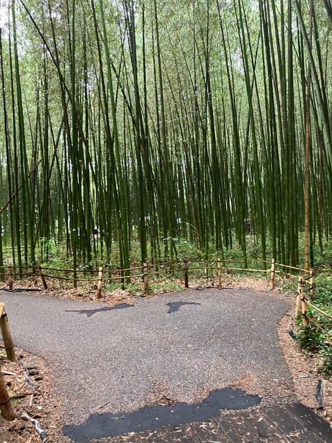 Kyoto: Essential Tour with Fushimi Inari & Bamboo Grove - Who Should Book This Kyoto Tour (And Who Might Pass)