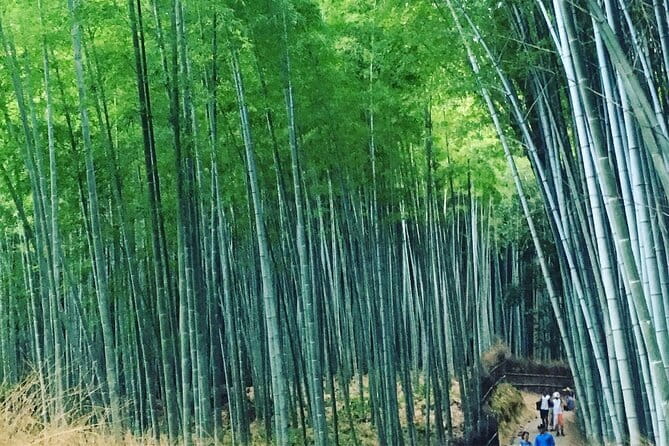 KYOTO Explore Top Highlights by Private Walking Tour - Stop 3: Fushimi Inari Taisha’s short torii course
