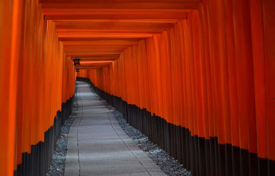 Kyoto : Flexible 3 hours Tour with a English Speaking guide. - Learning Japanese culture in a way that sticks