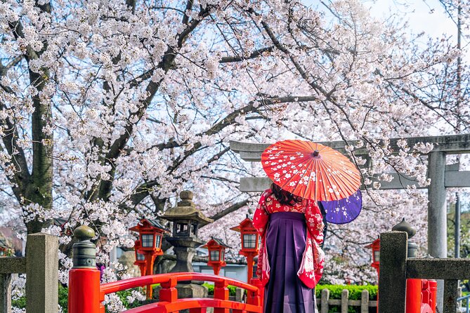 Kyoto Full Day (8 hours) Ultimate Sightseeing Private Tour - Gion after the gates: traditional streets, no big-ticket pressure