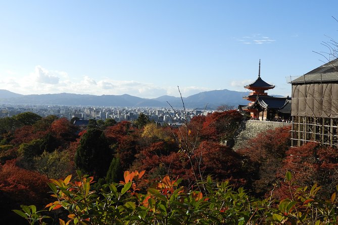 Kyoto Full Day (8 hours) Ultimate Sightseeing Private Tour - Who this tour is best for (and who should look elsewhere)