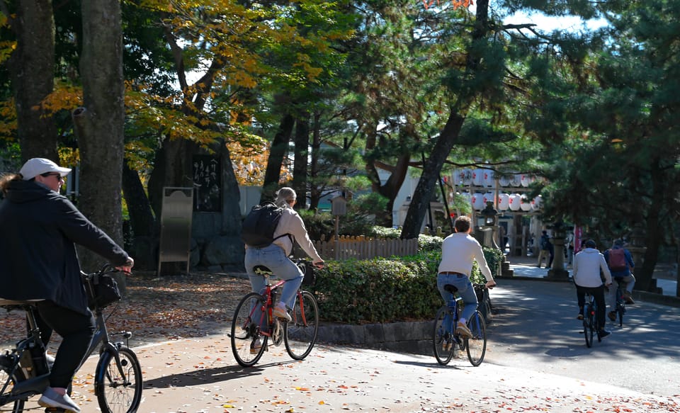 Kyoto: Full Day Bike Tour - Tofukuji and Fushimi Inari: torii gates at the end of the day