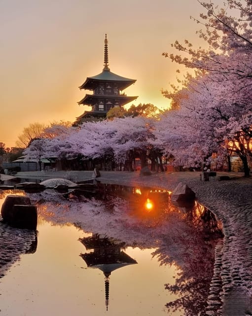 Kyoto full day private day trip with English speaking driver - Kiyomizu-dera: A UNESCO Stop With Big View Potential