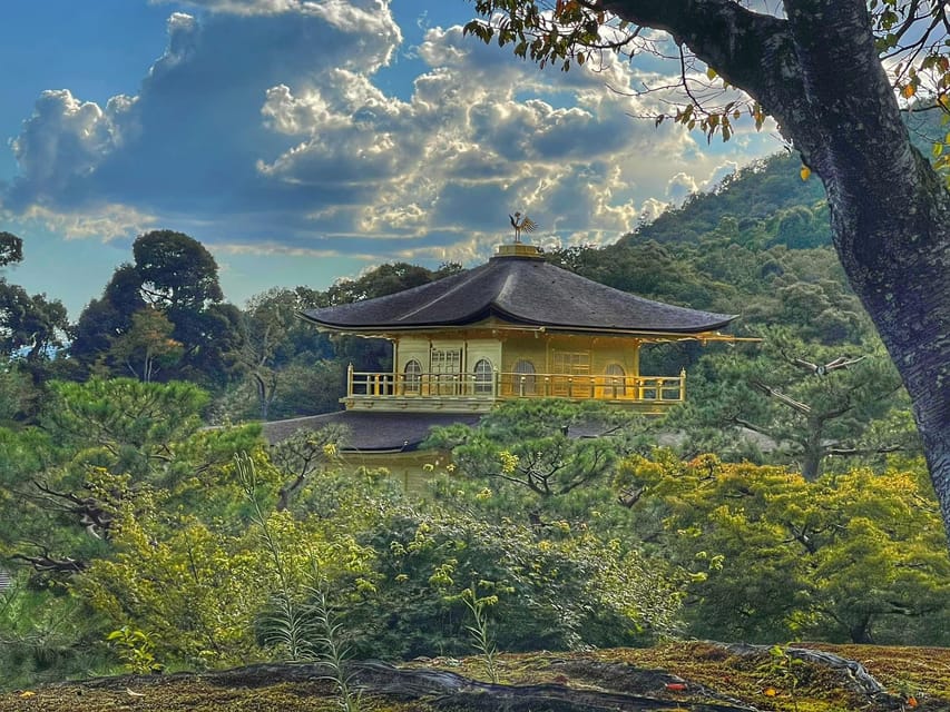 Kyoto full day private day trip with English speaking driver - Arashiyama Bamboo Grove and Togetsukyo Bridge