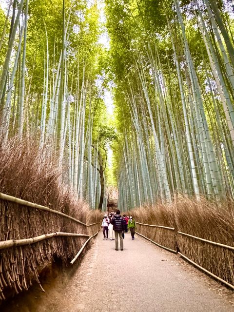 Kyoto: Fully customizable your own tour in the old capital - How the customized Kyoto day really works (pickup to drop-off)