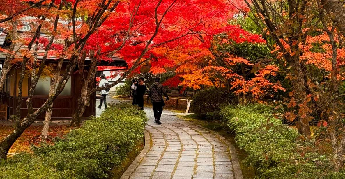 Kyoto: Fully customizable your own tour in the old capital - Food stops in Kyoto: ramen, udon, soba, yudofu, and kaiseki