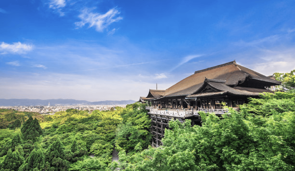 Kyoto: Fully-Customized One-day Private Tour - Lunch in Kyoto: guided choice without the stress
