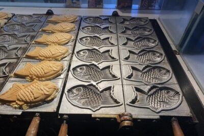 Kyoto Fushimi District Food and History Tour - The morning logistics that actually make a difference