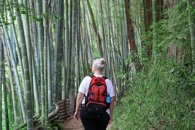 Kyoto: Fushimi Inari Hidden Hike (Private) - Quieter Mt. Inari trails: what you’re actually buying