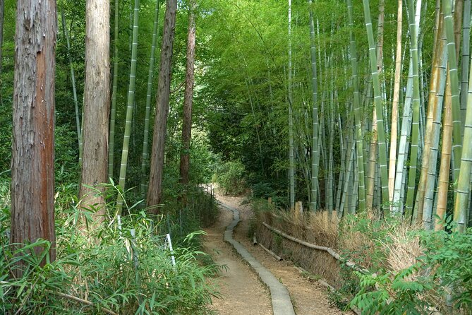 Kyoto: Fushimi Inari Hidden Hike (Private) - Rain, gates, and keeping the vibe: what to expect weather-wise