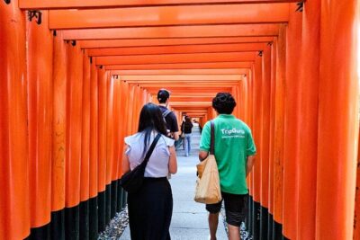 Kyoto: Fushimi Inari Taisha Small Group Guided Walking Tour - The torii gates: the icon you’ll actually understand