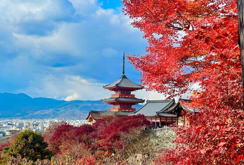 Kyoto: Fushimi Inari-taisha y Kiyomizu-dera (Spanish Guide) - Key highlights you’ll notice fast
