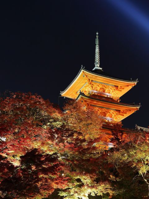 Kyoto: Fushimi Inari-taisha y Kiyomizu-dera (Spanish Guide) - Torii trails at Fushimi Inari (your walking warm-up)