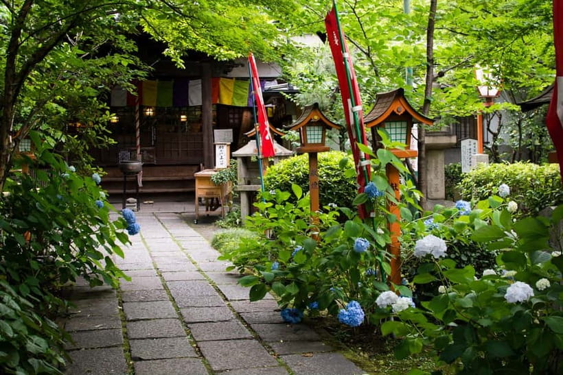 Kyoto: Fushimi Sake District Tour with Boat Ride - Key things to look forward to