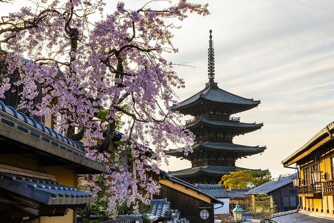 Kyoto Gion Early Morning Walking Tour - Why a Gion morning beats the afternoon chaos