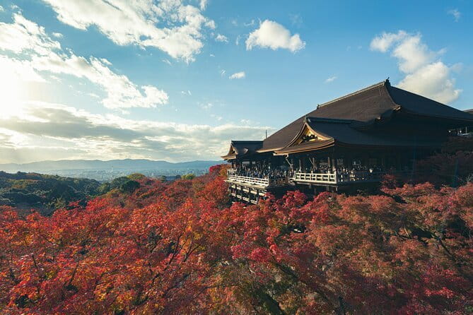 Kyoto Gion Early Morning Walking Tour - Stop 1: Gion Shirakawa and that quiet river feeling