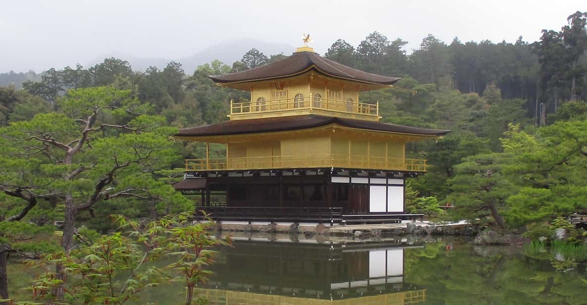 KYOTO: Golden Pagoda, Bamboo Forest, Arashiyama (Italian) - Sagano Bamboo Forest: the walk, the atmosphere, and time to browse