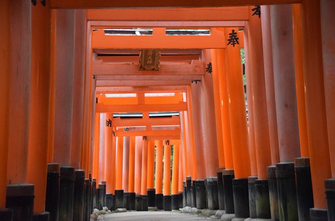 Kyoto Guided Walking Tour Highlight of Kiyomizu & Fushimi Inari - Price and Value: What $78.18 Covers (and What It Doesn’t)