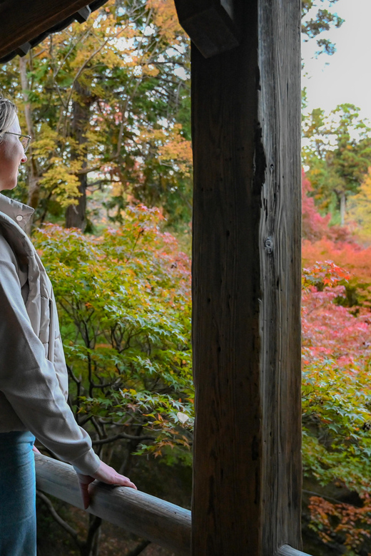 Kyoto: Half-day Guided Bike Tour with Fushimi Inari - Tofukuji photo stop: you get time, not just a quick peek