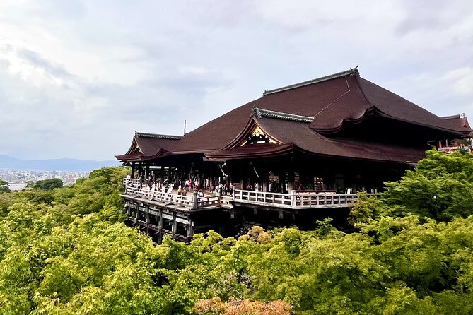 Kyoto Half Day Highlights Tour - The Torii Tunnel at Fushimi Inari-taisha: The 1-Hour Climb