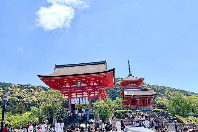 Kyoto Half Day Highlights Tour - Price and Value: What You’re Paying for at $50