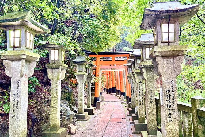 Kyoto Half Day Highlights Tour - Pace, Physical Level, and What to Bring