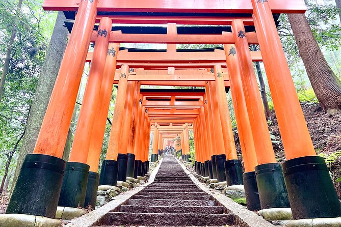 Kyoto Half Day Highlights Tour - Who This Tour Is Best For (and Who Might Skip It)