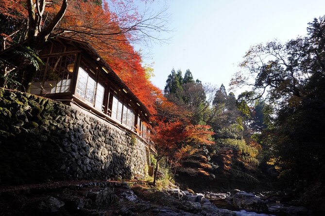 Kyoto Hidden Riverside Zen Mediation and Uji Matcha Experience - Premium Uji matcha and wagashi: why the ending matters