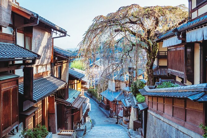 Kyoto Higashiyama Walking Private Tour - Key moments worth planning for