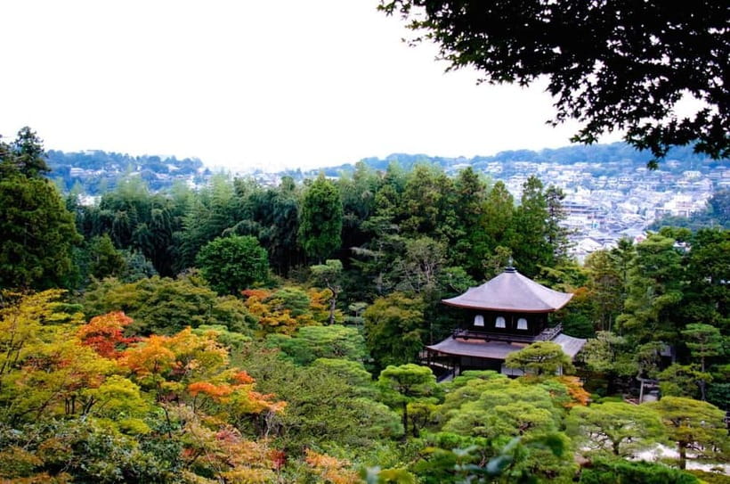 Kyoto: Highlights Guided Walking Tour - Kiyomizu-dera: the UNESCO stop with the dramatic stage