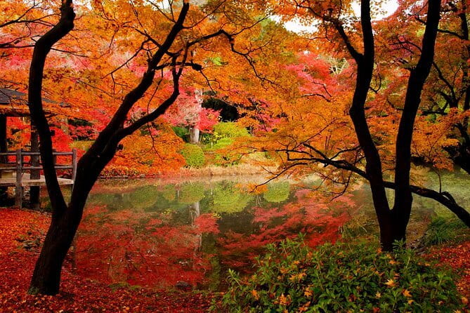 Kyoto Highlights: Half Day Customized World Heritage Walking Tour - Stop-by-stop: how each place fits into your Kyoto highlights day