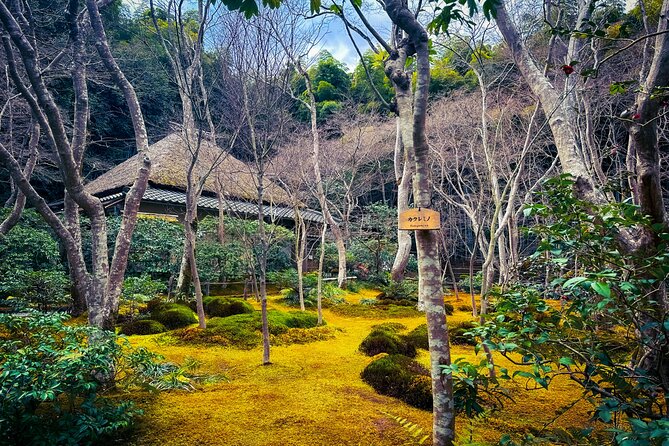 Kyoto Highlights & Hidden Gems in Nature (Private Van Eng-Guide) - When this tour is the best fit for you