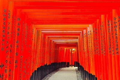 Kyoto Highlights Private Car Day Tour with English Speaking Guide - Price and value: what you’re really paying for