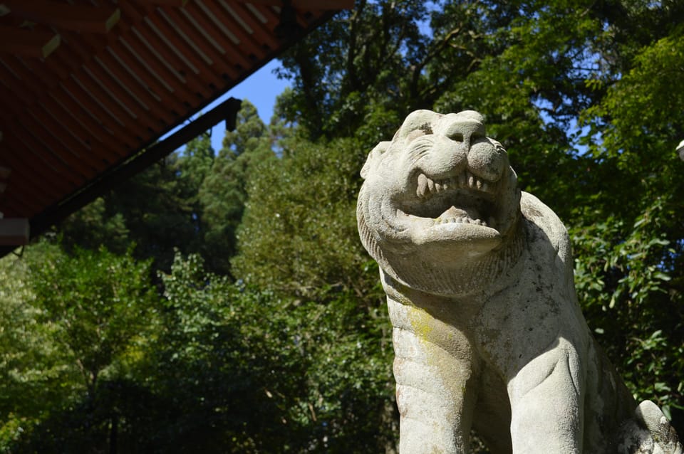 Kyoto: Hike and Hot Springs in Kurama - Who Should Book This (and Who Should Skip It)