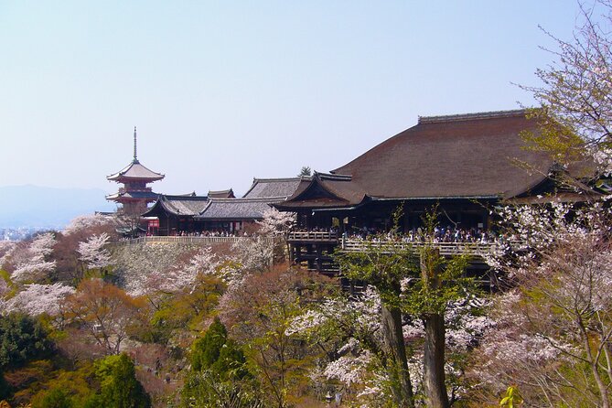 Kyoto in a Day by eBike: The Best Bits Tour (East Course) - Key highlights (what makes this tour click)