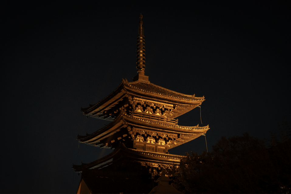 Kyoto: Izakaya Bars Guided Walking Tour - Who This Tour Fits Best (and Who It Doesn’t)