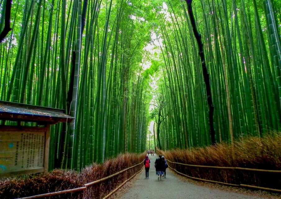 Kyoto: Japanese Gardens Private Customizable Tour - Key highlights worth planning around