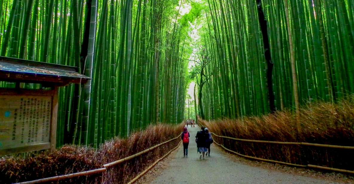 Kyoto: Japanese Gardens Private Customizable Tour - How a 6-hour Kyoto garden day actually flows