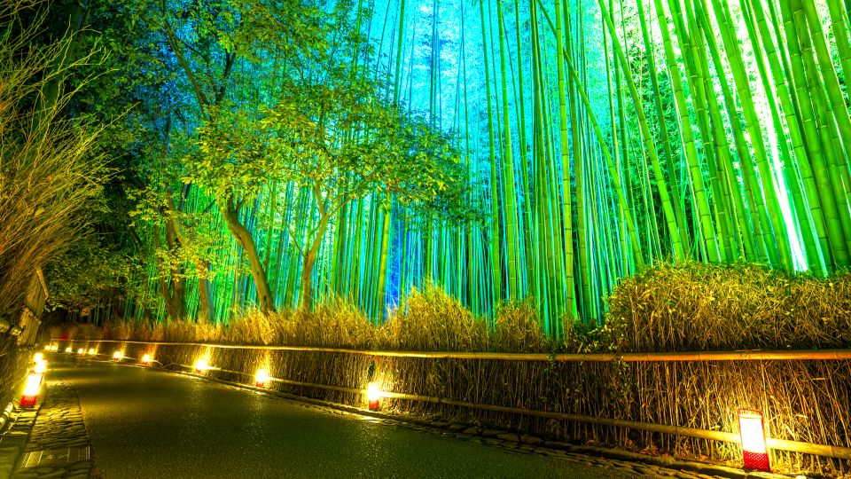 Kyoto: Japanese Gardens Private Customizable Tour - Your custom stop menu: classic Zen temples and garden styles